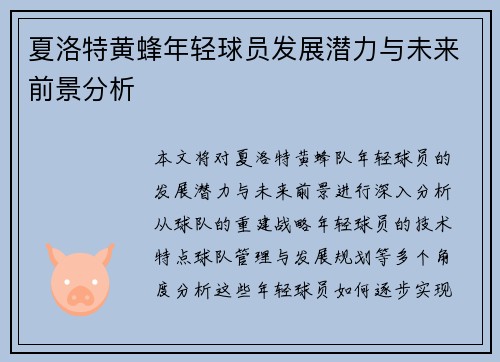 夏洛特黄蜂年轻球员发展潜力与未来前景分析 夏洛特黄蜂年轻球员发展潜力与未来前景分析
